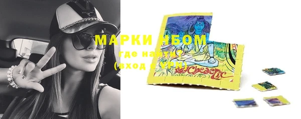 дмт Аркадак